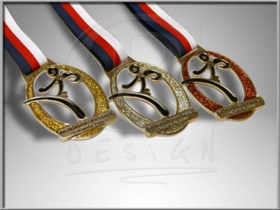 medal of karate Litomyšl
