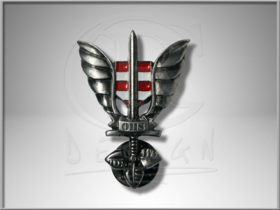 OHS badge